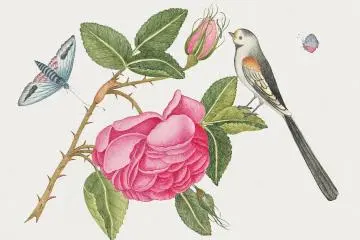 Kew Gardens Exhibition 2021