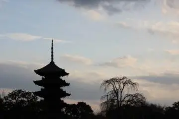 Toji Temple, Kyoto