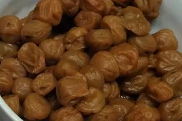 Tanabe’s Famous Plums