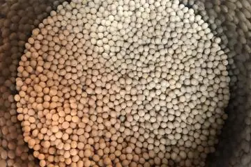 Основы японской кухни: мисо