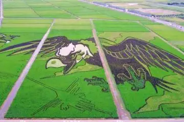 Photo: <a href="https://en.japantravel.com/saitama/rice-field-art/59456" target="_blank" rel="noreferrer noopener nofollow">Lynda Hogan </a> / JT