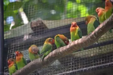 Birdlife abounds at Hamura Zoo (Photo: <a href="https://www.flickr.com/photos/24256658@N06/7620602292" target="_blank" rel="noreferrer noopener nofollow">tomosuke214</a> / <a href="https://creativecommons.org/licenses/by-nc-sa/2.0/" target="_blank" rel="noreferrer noopener nofollow">CC BY-NC-SA 2.0</a>)