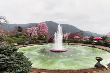 Hakone Spring 2021