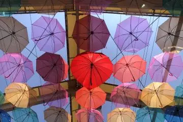 Look up to admire them (Photo: <a href="https://prtimes.jp/main/html/rd/p/000000009.000037732.html" target="_blank" rel="noreferrer noopener nofollow">PR Times</a>)