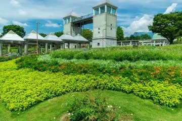Photo:  Summer flowers at Gunma Flower Park – Ikko Sato / Shutterstock.com