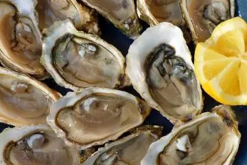 Nippo Coast Rock Oyster Festival 2026