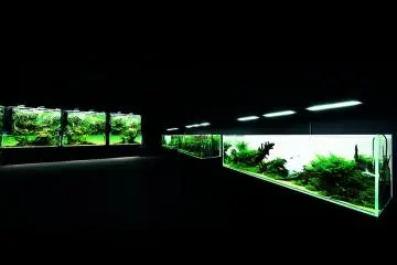 A glimpse into different ecosystems in aquarium form (Public Domain)