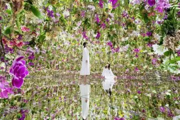 Photo: teamLab Planets