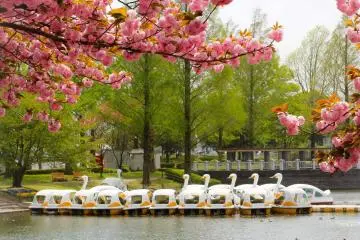 Things to Do at Kawagoe Park