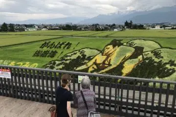 Gallery image