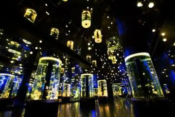Photo: <a href="https://prtimes.jp/main/html/rd/p/000000436.000011571.html" target="_blank" rel="noreferrer noopener nofollow">Yokohama Hakkeijima Co., Ltd</a>