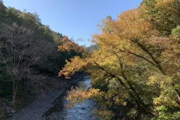 The Akigawa Valley in late November (Photo: <a href="https://www.flickr.com/photos/mikkot02/50341892732/in/album-72157715967823701/" target="_blank" rel="noreferrer noopener nofollow">Mikhail Kotykhov</a> / <a href="https://creativecommons.org/licenses/by/2.0/" target="_blank" rel="noreferrer noopener nofollow">CC BY 2.0</a>)