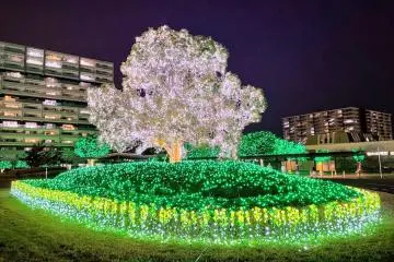 Inzai Illuminations 2026-2027