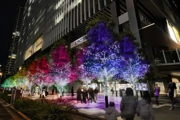 Akihabara UDX Illumination 2026