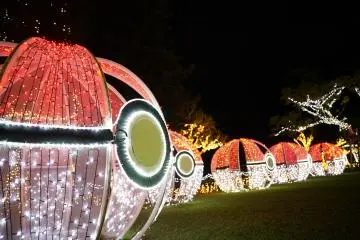 Photo: <a href="https://prtimes.jp/main/html/rd/p/000000001.000090373.html" target="_blank" rel="noreferrer noopener nofollow">Okinawa City</a>