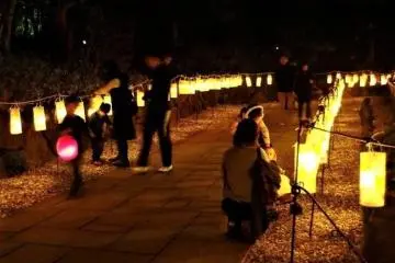 Mihama-en Autumn Illuminations 2025
