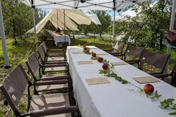 Fruit Farm Kato: Food Camp 2021