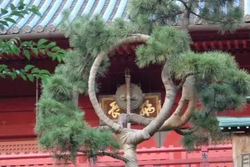 The pine tree of the moon at Kiyomizu Kannondo (Photo:  Ueno Benten-do – <a href="https://commons.wikimedia.org/wiki/File:Ueno_Benten-do_5.jpg" target="_blank" rel="noreferrer noopener nofollow">Gustave67</a> / <a href="https://creativecommons.org/licenses/by-sa/4.0/deed.en" target="_blank" rel="noreferrer noopener nofollow">CC BY-SA 4.0</a>)