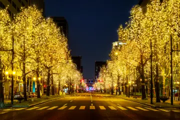 Photo: Osaka Festival of Light Executive Committee Secretariat