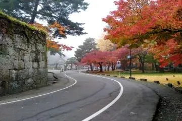 A Foggy Autumn Day at Aizuwakamatsu Castle