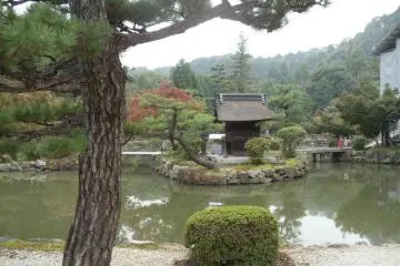 Contemplative pond (Photo: Richard A. Dart, MD)
