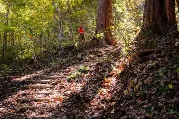 "Aoba no Mori" Hiking Trail