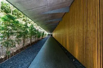 Photo: <a href="https://commons.wikimedia.org/wiki/File:2018_Nezu_Museum_2.jpg" target="_blank" rel="noreferrer noopener nofollow">Kakidai</a> / <a href="https://creativecommons.org/licenses/by-sa/4.0/deed.en" target="_blank" rel="noreferrer noopener nofollow">CC BY-SA 4.0</a>