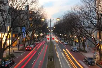 Photo: <a href="https://commons.wikimedia.org/wiki/File:Omotesando_Tokyo_2012_winter.JPG" target="_blank" rel="noreferrer noopener nofollow">Kakidai</a> / <a href="https://creativecommons.org/licenses/by-sa/3.0/deed.en" target="_blank" rel="noreferrer noopener nofollow">CC BY-SA 3.0</a>