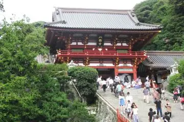 Gallery image