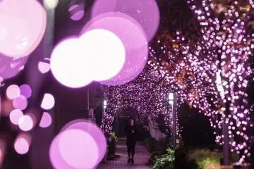 Photo: Minna no Illumination Executive Committee