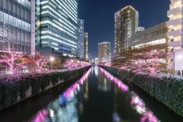 Photo: Shinagawa Tourism Association