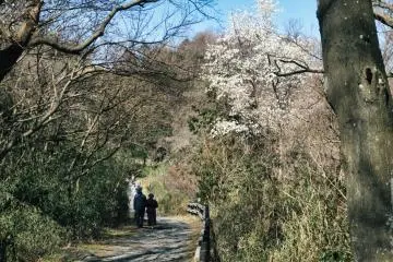 Maioka Park 