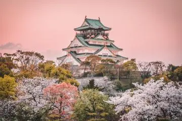 Cherry Blossom Forecast 2022
