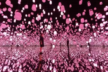 Forest of Resonating Lamps - One Stroke, Cherry Blossoms (Photo: TeamLab)