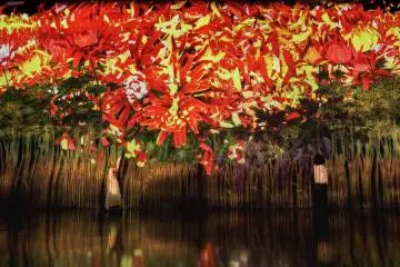 Proliferating Immense Life - A Whole Per Year (Photo: TeamLab)