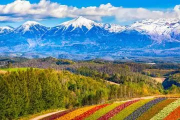 Photo: CGN089 / Shutterstock.com