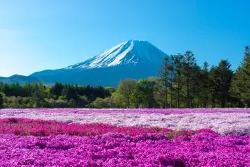 Photo: <a href="https://flickr.com/photos/gina-rainbow/33404292413/" target="_blank" rel="noreferrer noopener nofollow">Naoki Natsume</a> / <a href="https://creativecommons.org/licenses/by-nd/2.0/" target="_blank" rel="noreferrer noopener nofollow">CC BY-ND 2.0</a>