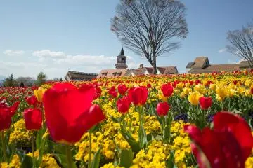 Colorful Heidi's Village (Photo: <a href="https://flickr.com/photos/bonkura32design/4591577880/" target="_blank" rel="noreferrer noopener nofollow">toooooool</a> / <a href="https://creativecommons.org/licenses/by/2.0/" target="_blank" rel="noreferrer noopener nofollow">CC BY 2.0</a>)