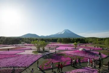 Photo: <a href="https://flickr.com/photos/gina-rainbow/16248579479/" target="_blank" rel="noreferrer noopener nofollow">Naoki Natsume</a> / <a href="https://creativecommons.org/licenses/by-nd/2.0/" target="_blank" rel="noreferrer noopener nofollow">CC BY-ND 2.0</a>