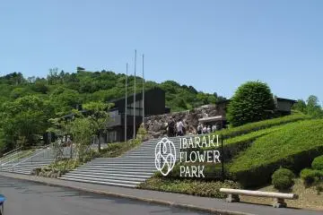 Photo: <a href="https://commons.wikimedia.org/wiki/File:Ibaraki,_Ishioka,_Ibaraki_Flower_Park_Entrance.jpg" target="_blank" rel="noreferrer noopener nofollow">Strangesnow</a>
