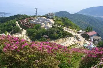 Azaleas at Mount Ohira (Photo: <a href="https://commons.wikimedia.org/wiki/File:Hofu_Mt._Ohira_park.JPG" target="_blank" rel="noreferrer noopener nofollow">TT mk2</a> / <a href="https://creativecommons.org/licenses/by-sa/3.0/deed.en" target="_blank" rel="noreferrer noopener nofollow">CC BY-SA 3.0</a>)