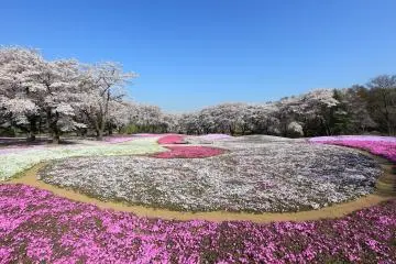 Seasonal color at the Tobu Treasure Garden (Photo: <a href="https://flickr.com/photos/tanaka_juuyoh/3449241968/in/photolist-6fy8m6-6fwJR8-6fy7UH-6fZv2N-6fKBdB-6fwJ28-6MKhP-6fPNo5-6gf9Sn-4L9ZAj-6gqWSH-6g361E-6gjkHq-6fJ7pn-6fViyz-6fGbpB-6fLFNR-6fQRpf-6fsr1n-6geZJq-26sZwhy-6jvDBo-6joGWy-dRDCD-6fXUEx-6h8NQe-6g7PZM-6fNgt7-6gbZo1-JfcAF/" target="_blank" rel="noreferrer noopener nofollow">TANAKA Juuyoh (田中十洋)</a> / <a href="https://creativecommons.org/licenses/by/2.0/" target="_blank" rel="noreferrer noopener nofollow">CC BY 2.0</a>)