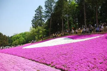 Hitsujiyama Park (Photo: <a href="https://www.flickr.com/photos/daverson/3530508655/" target="_blank" rel="noreferrer noopener nofollow">Daverson Borja</a> / <a href="https://creativecommons.org/licenses/by-nc-nd/2.0/" target="_blank" rel="noreferrer noopener nofollow">CC BY-NC-ND 2.0</a>)