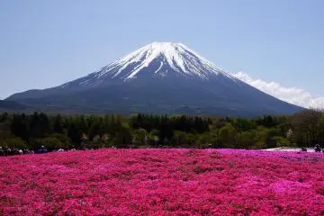 Photo: <a href="https://www.flickr.com/photos/sonotoki/4629470546" target="_blank" rel="noreferrer noopener nofollow">annintofu</a> / <a href="https://creativecommons.org/licenses/by-nc-nd/2.0/" target="_blank" rel="noreferrer noopener nofollow">CC BY-NC-ND 2.0</a>