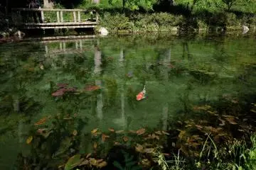 Monet's Pond has gained significant attention on social media sites (Photo: <a href="https://flickr.com/photos/kagen33/27082664991/in/photolist-WM2YWX-HgcJKR-Hgd29x-GrRKq2-GrKjXN-GrQR4P-HdQEnh-Hgd5jF-GrJhpU-GrQXup-GrQTUP-GrJyLm-GrJC5L-GrRCuZ-GrJArA-HdQHVu-Hgd3r2-GrRBCP-GrRc12-Hgd6ie-GrRupv-HgcxEK-GrRaCn-Hgc8HM-HgcGV8-GrRL72-Hgd4pV-GrRz5T-GrRvU4-Hgcsrt-GrRLFD-HgcFci-HdQG4d-GrRDkM-HdQYwU-HnfqDn-HgcuK6-GrJf4m-GrRxui-GrRAyK-HgcDx6-GrPZiB-GrJfQm-HnfsSR-Hgc7HF-GrJmgb-HjjWpq" target="_blank" rel="noreferrer noopener nofollow">Hiro - Kokoro☆Photo</a> / <a href="https://creativecommons.org/licenses/by-nc-nd/2.0/" target="_blank" rel="noreferrer noopener nofollow">CC BY-NC-ND 2.0</a>)