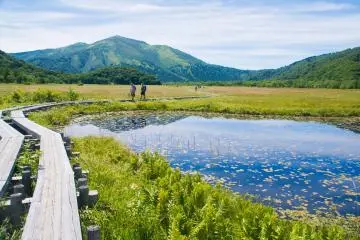 Ozegahara Marshland in Gunma Prefecture (Photo: Hiromi Ito Ame / Shutterstock.com)