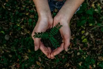Photo: Noah Buscher / Unsplash