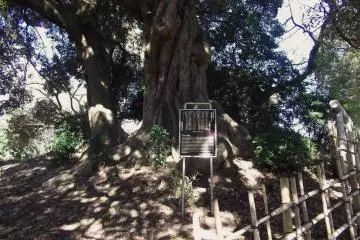 Tama City - History & Landmarks