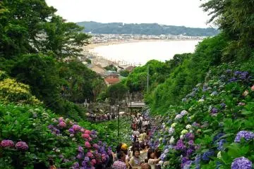 Views from Jojuin Temple (Photo: <a href="https://flickr.com/photos/nightchrome/2620786263/" target="_blank" rel="noreferrer noopener nofollow">Glen Malley</a> / <a href="https://creativecommons.org/licenses/by-nc-nd/2.0/" target="_blank" rel="noreferrer noopener nofollow">CC BY-NC-ND 2.0</a>)