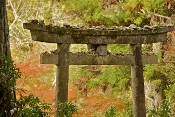 Momiji-dani Park on Miyajima (Photo: <a href="https://www.flickr.com/photos/gethiroshima/6411222261/" target="_blank" rel="noreferrer noopener nofollow">GetHiroshima.com</a> / <a href="https://creativecommons.org/licenses/by-nc/2.0/" target="_blank" rel="noreferrer noopener nofollow">CC BY-NC 2.0</a>)